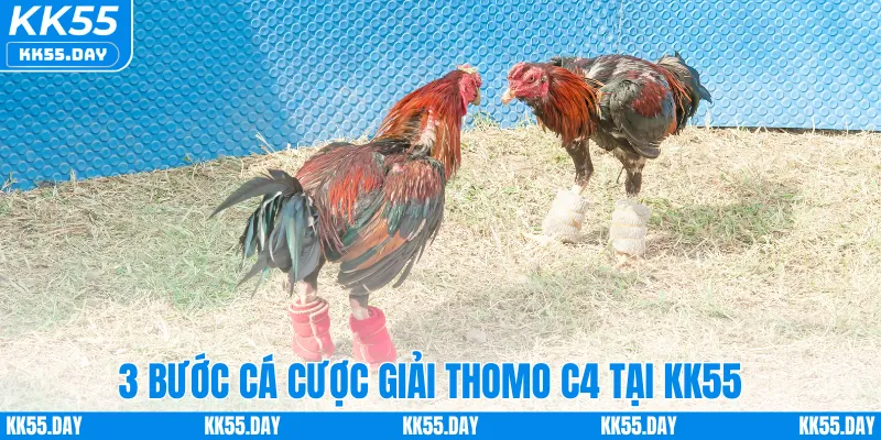 3 bước cá cược giải Thomo C4 tại KK55