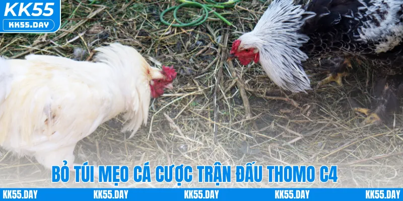 Bỏ túi mẹo cá cược trận đấu Thomo C4 
