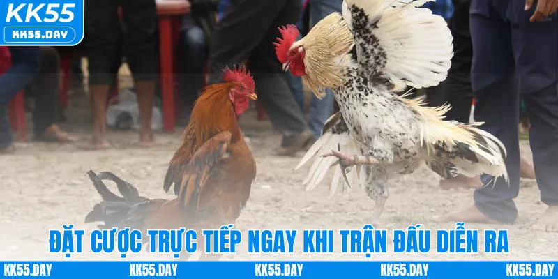 Đặt cược trực tiếp ngay khi trận đấu diễn ra