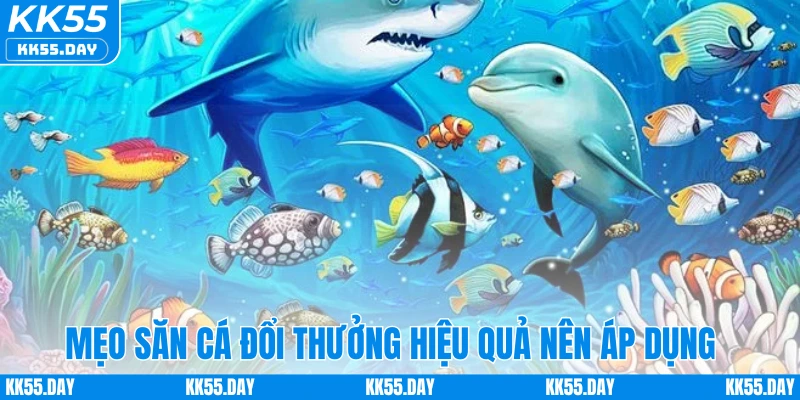 Mẹo săn cá đổi thưởng hiệu quả nên áp dụng