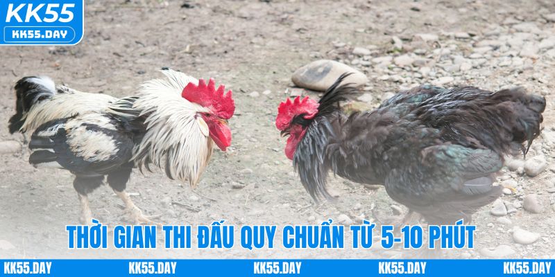 Thời gian thi đấu thường trong khoảng từ 5-10 phút