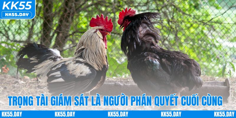 Trọng tài giám sát là người phán quyết cuối cùng