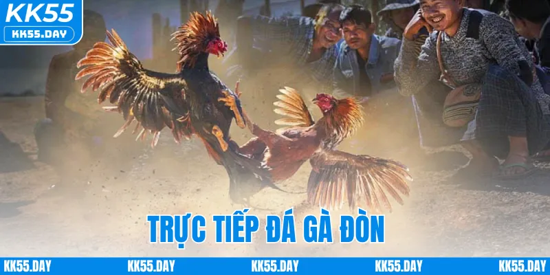 Xem Trực Tiếp Đá Gà Đòn Full HD Sắc Nét Ngay Tại KK55